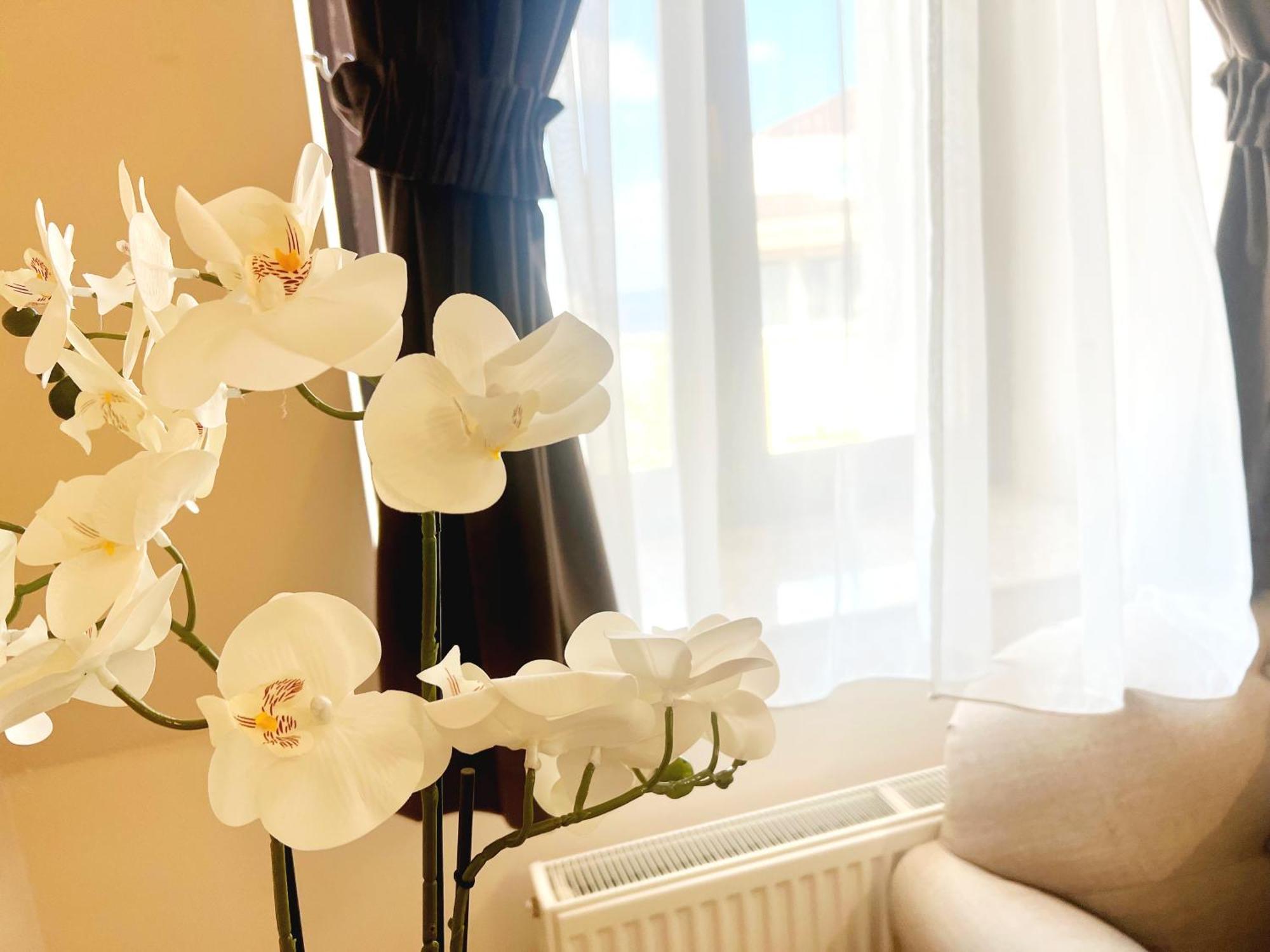 Next Apartments Constanta Luaran gambar
